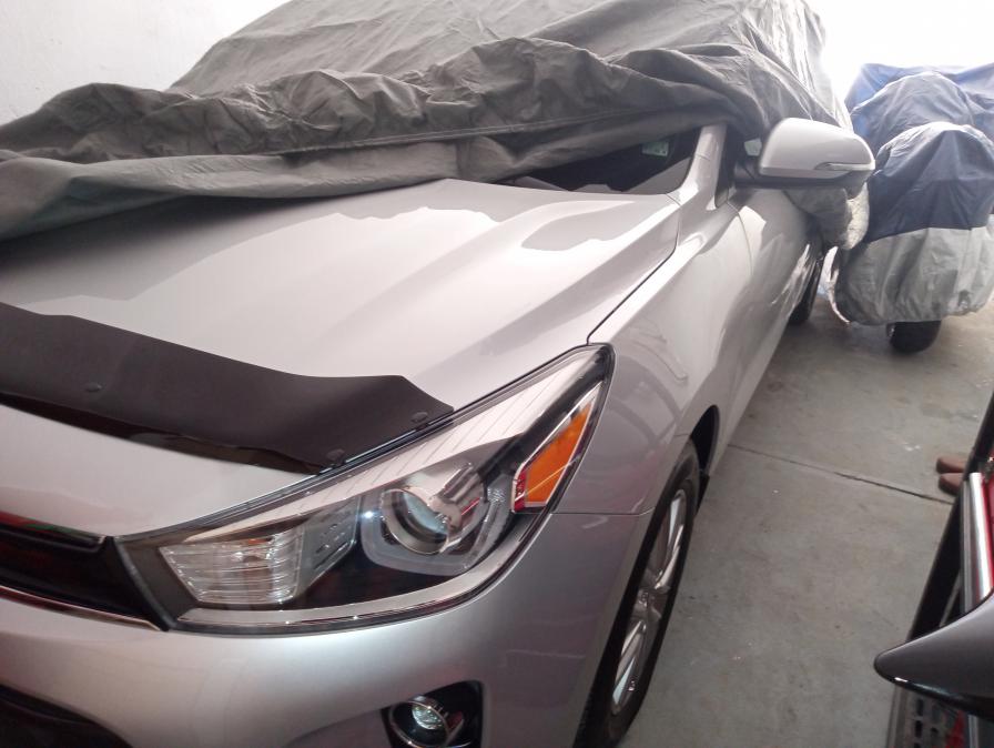 Kia Rio, 2019г., 20000 км, 30000 EUR